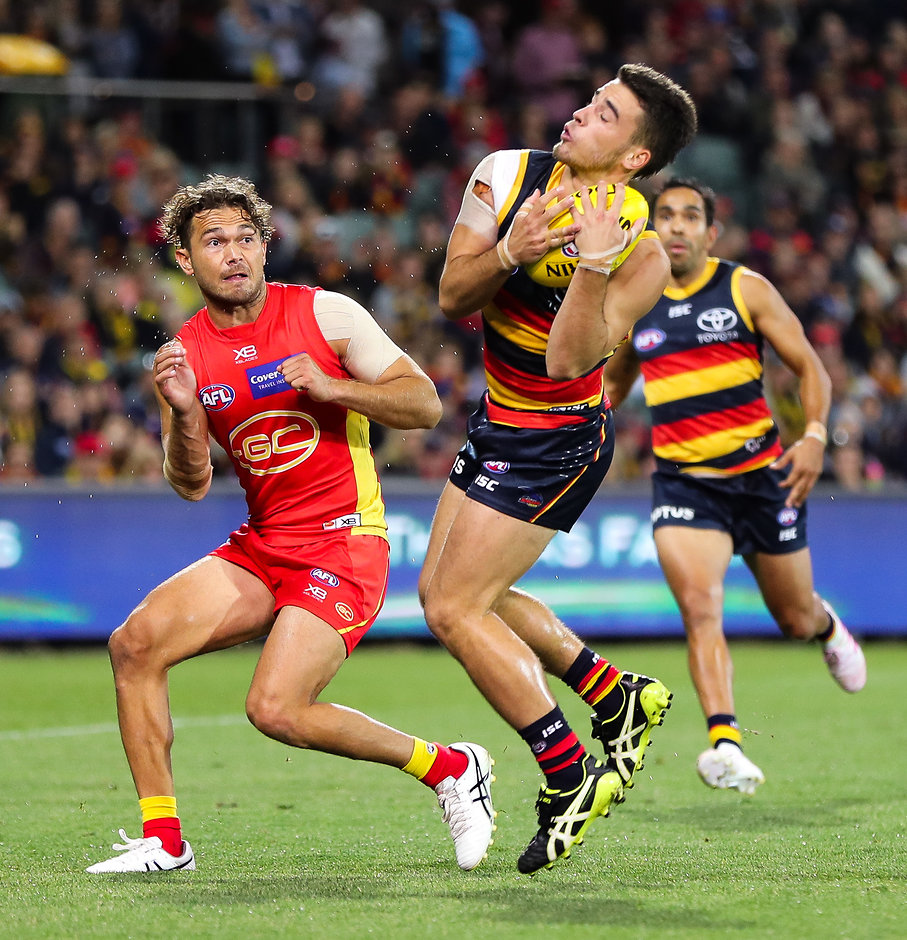 AFL 2019 Round 05 - Adelaide v Gold Coast ADELAIDE, AUSTRALIA - APRIL 21: Lachlan Murphy of the Crows marks the ball then collides with Jarrod Harbrow of the Suns during the 2019 AFL round 05 match between the Adelaide Crows and the Gold Coast Suns at the Adelaide Oval on April 21, 2019 in Melbourne, Australia. (Photo by AFL Photos)